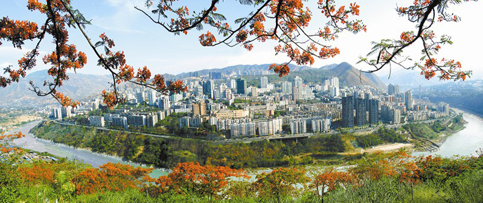 攀枝花中心城區(qū)全景