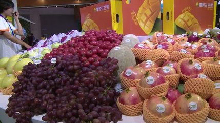 8個(gè)項(xiàng)目集中簽約!借農(nóng)博會東風(fēng),攀枝花攬金6.23億元!