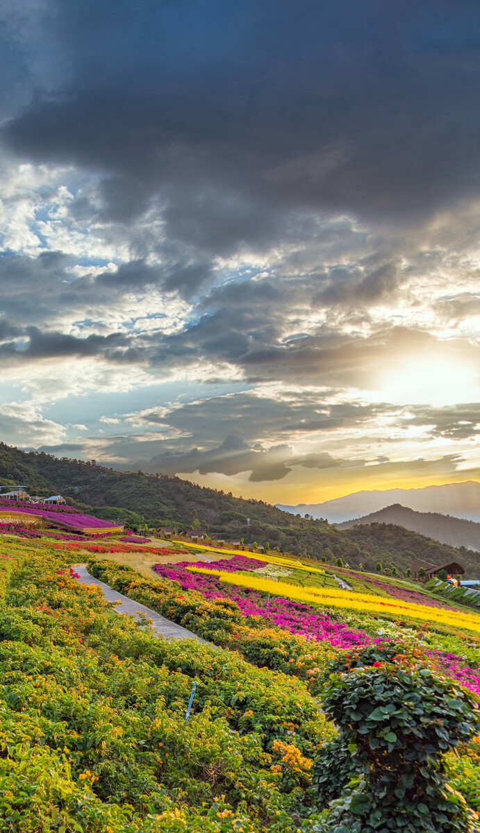 深圳,攀枝花,城市建筑,景觀風(fēng)光。