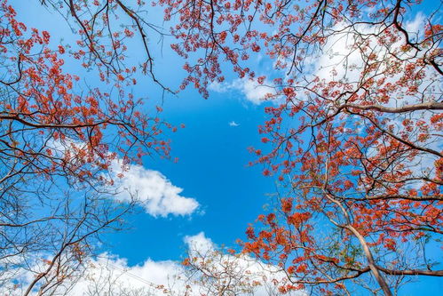 和你們分享一下 每天都被 暖男 包圍的生活是怎樣的