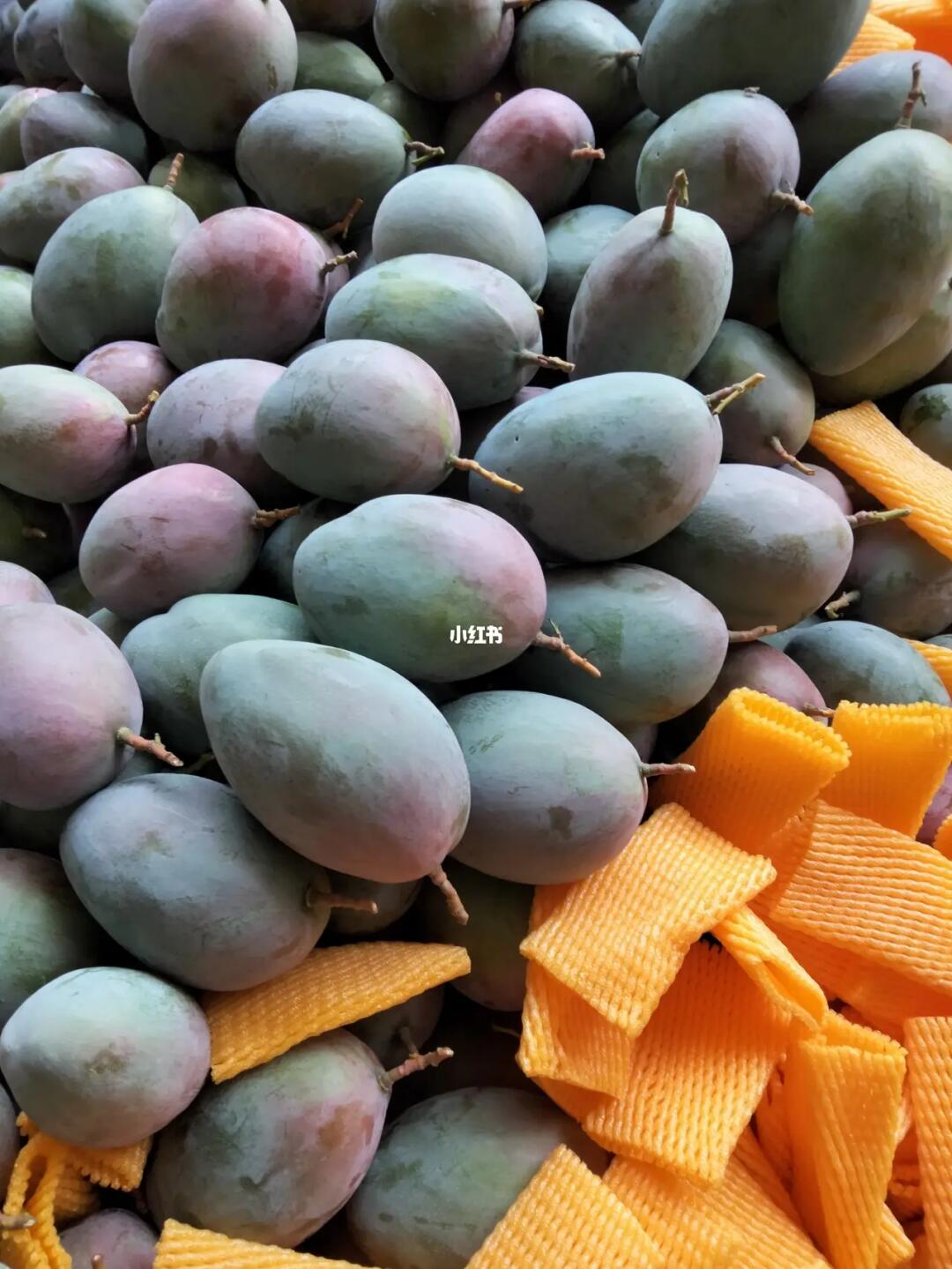 四川攀枝花優(yōu)質基地農產品當季新鮮現(xiàn)摘現(xiàn)發(fā)凱特芒果十斤整箱包郵