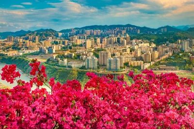 全國(guó)各大媒體爭(zhēng)相報(bào)道!攀枝花即將迎來又一大視聽盛宴!